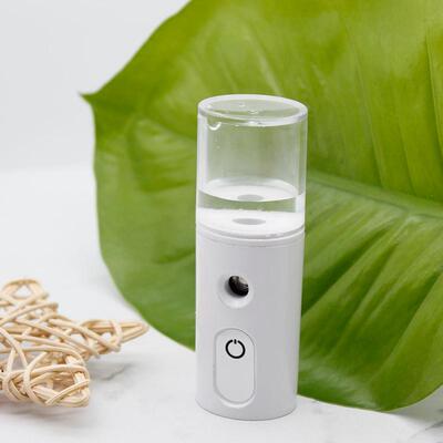 Portable Mini Home Car USB Mist Maker Diffuser Air Purifier