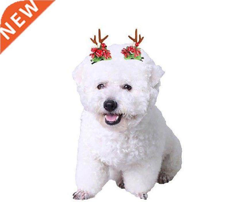 2pcslot pet dog hair clips hairpins bow flower kitten