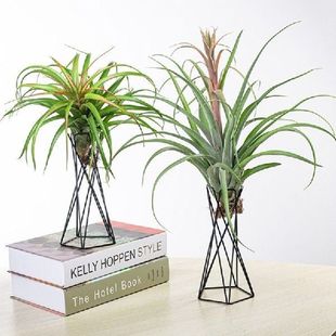 Nordic Style Air Plant Holder Metal Flower Pot Stand