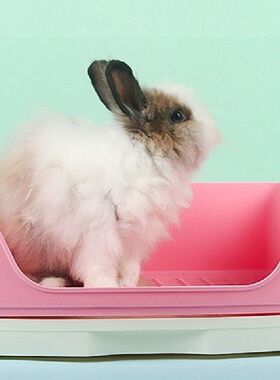 Large Rabbit Litter Box with Drawer Place Firmly Pet Bedpan