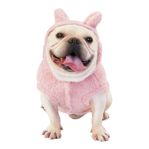 Cute Rabbit Ears Hooded Winter Warm Dog Clothes Fleece Pet