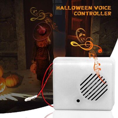 Talking PIR Motion Sensor Recordable Scream Speaker Player