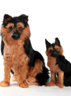 Birthday Gift Toys Kid Room Decoration Simulation Home