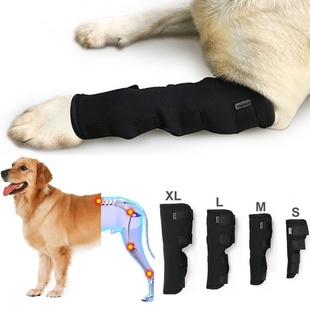 2pcs/lot Pet Knee Pads Dog Kneepad Straps Leg Hock Joint