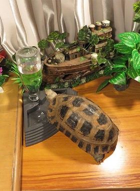 Pet Tortoise Reptiles Turtles Feeder Water Dispenser