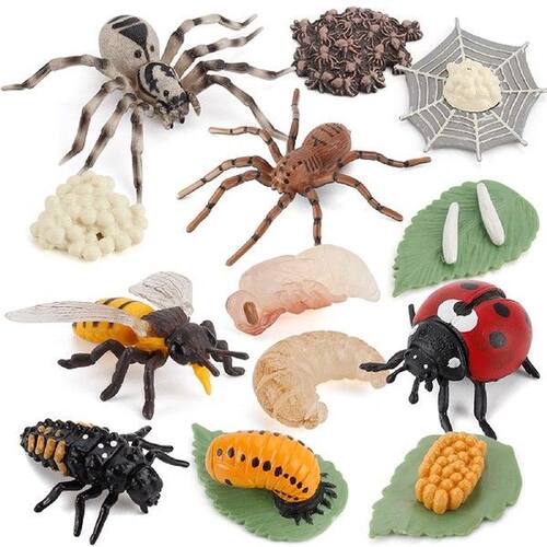 Simulation Arthropod Life Cycle Of A Spider Bee Ladybugs