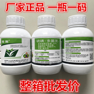 标刺42%硫磺多菌灵杀菌剂正品农药黄瓜白粉病专用药悬浮剂350克