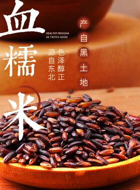 野三坡500g*XBB5袋黑糯米杂紫糯米家血米糯米饭糯粘农自产粮粥紫