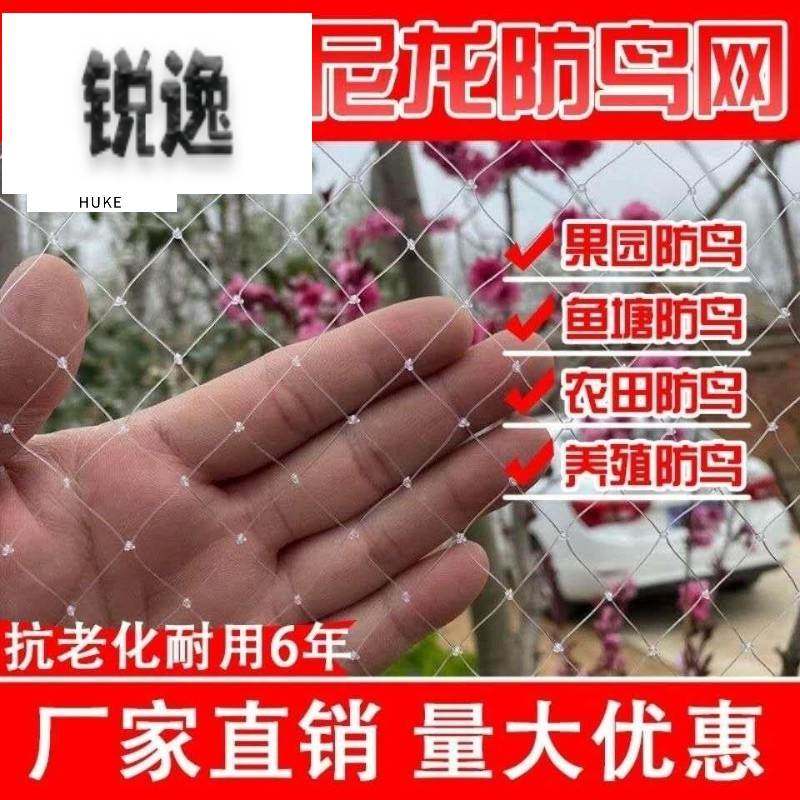尼龙网防麻雀网果园防鸟网果树樱桃鱼塘养殖葡萄防护天网丝网大棚