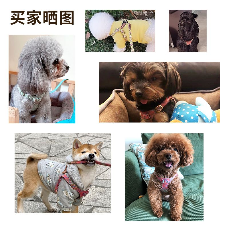 狗狗牵引绳小型犬狗绳子遛狗绳背心式泰迪柯基宠物胸背带