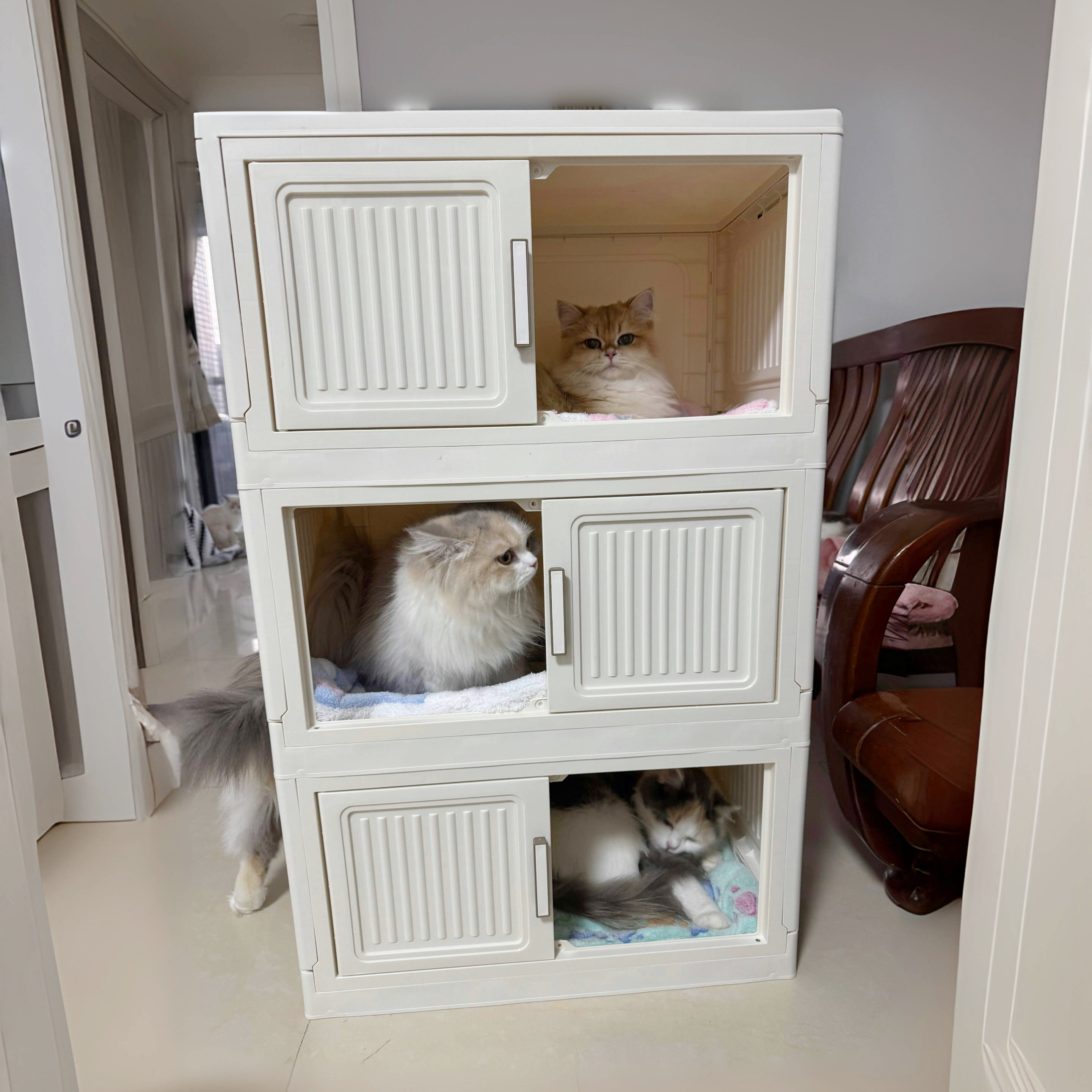 收纳柜改造流浪猫窝四季通用半封闭安全感猫房子冬保暖猫别墅加厚
