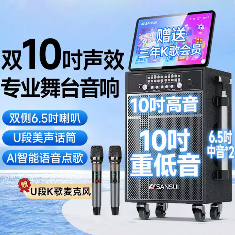 山水DT107新款家庭KTV音响广场舞带显示屏卡拉OK户外k歌移动音箱