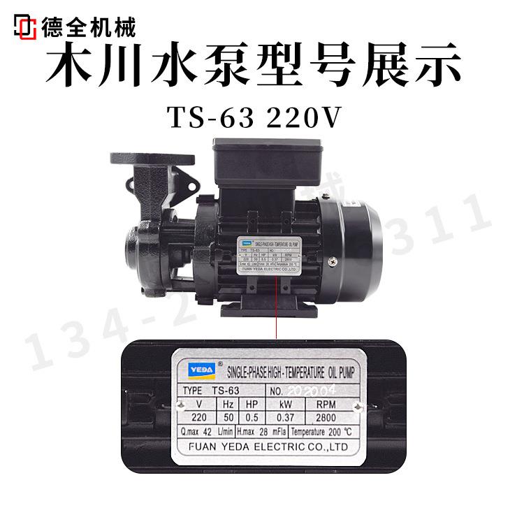 220V380V导热油循环泵高温TS-63热油泵木川热水泵TS-71模温机三相