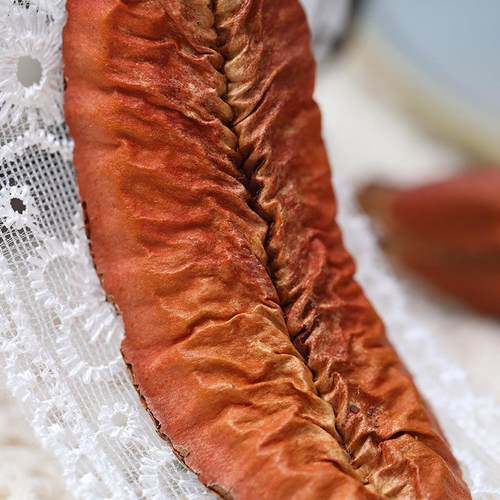 巴西海星叶南美造景道具 干花diy材料包摆件永生花束插艺干花