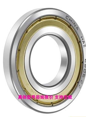 C- SB6903ZZ / SB6803ZZ/SB6003ZZ/SB6203ZZ/SB303ZZ 不锈钢轴承