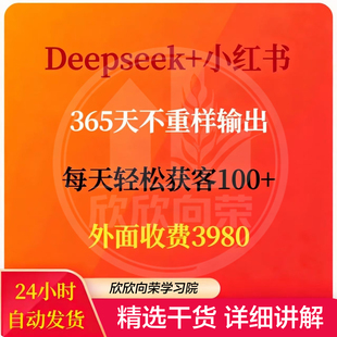 DeepSeek小红书内容生产视频实操课365天不重样轻松获客流教课程