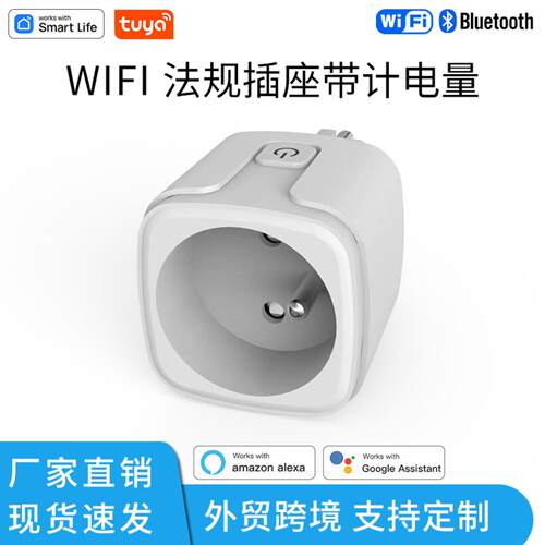 涂鸦法规智能插座16A/20A带计电量音箱语音插头智能wifi时控开关