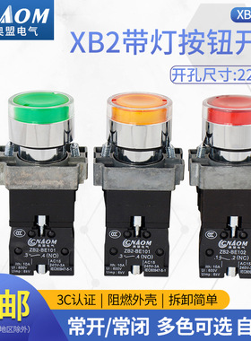 自复位XB2-BW3361C绿色BW33B1C BW33M1C 红色带灯按钮开关24V220