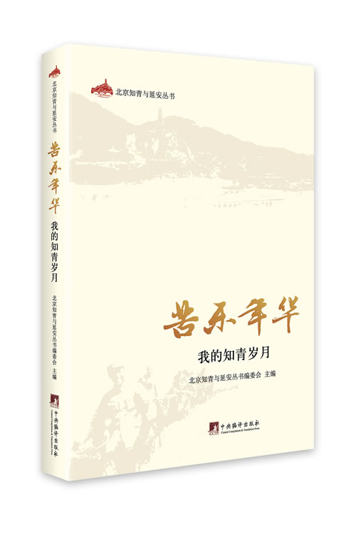 苦乐年华：我的知青岁月 书籍/杂志/报纸 现代/当代文学 原图主图