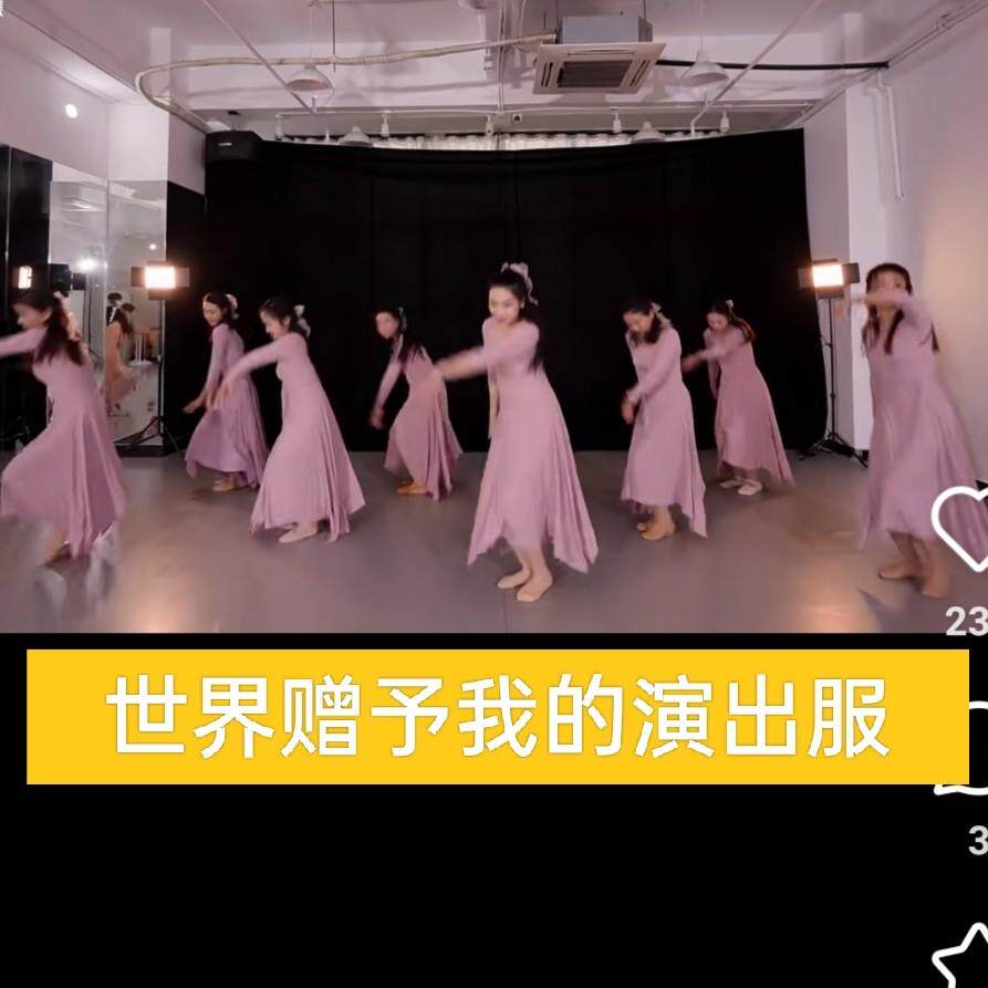 世界赠予我的舞蹈服演出服表演服古典舞练功服唐诗逸洛阳旧事