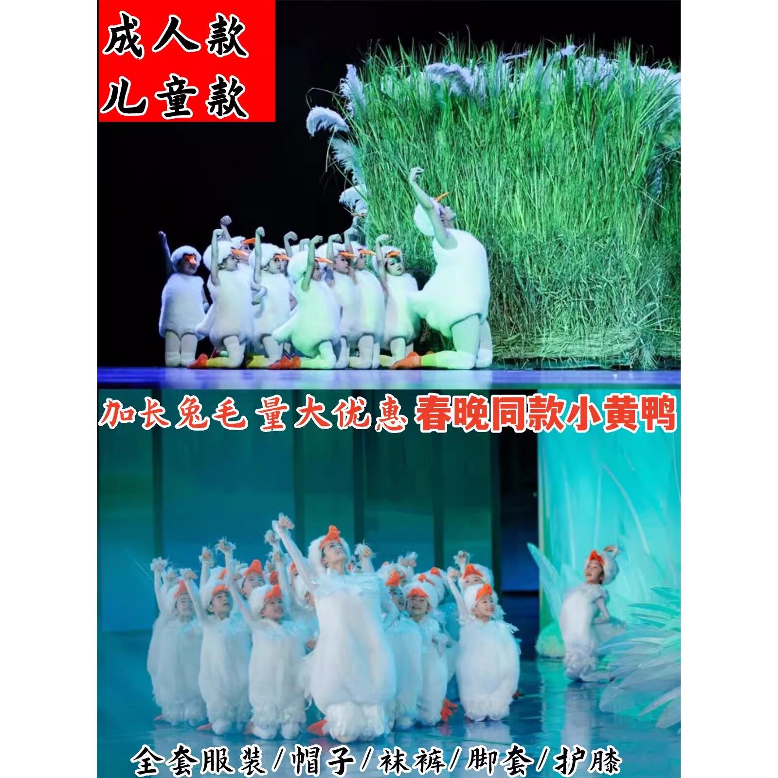 小荷风采这是我家儿童舞蹈服六一幼儿小鸭子咏鹅表演服大白鹅服装