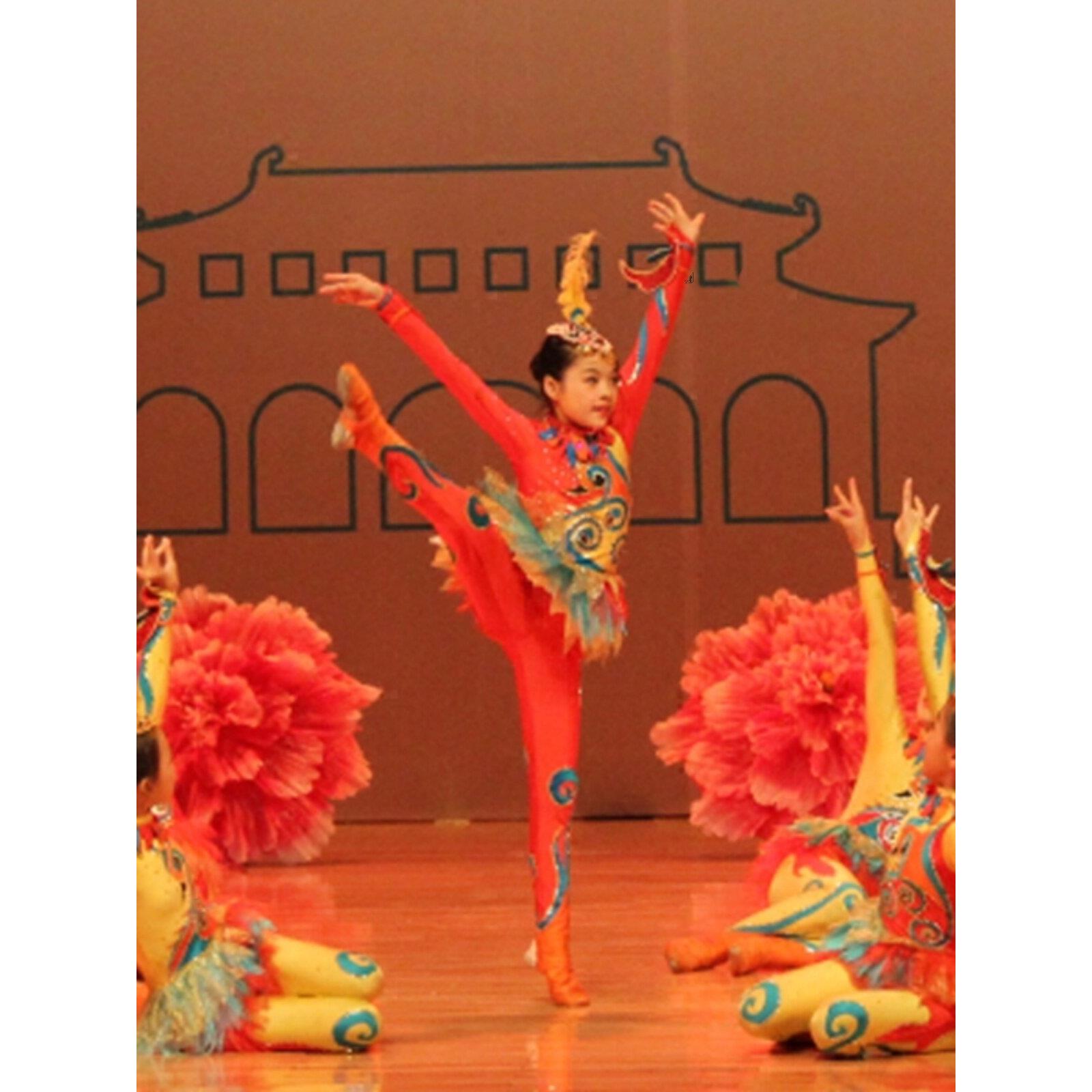 艺术体操小凤飞飞舞蹈民族六一凤凰女童儿童演出服小鸿雁表演服装