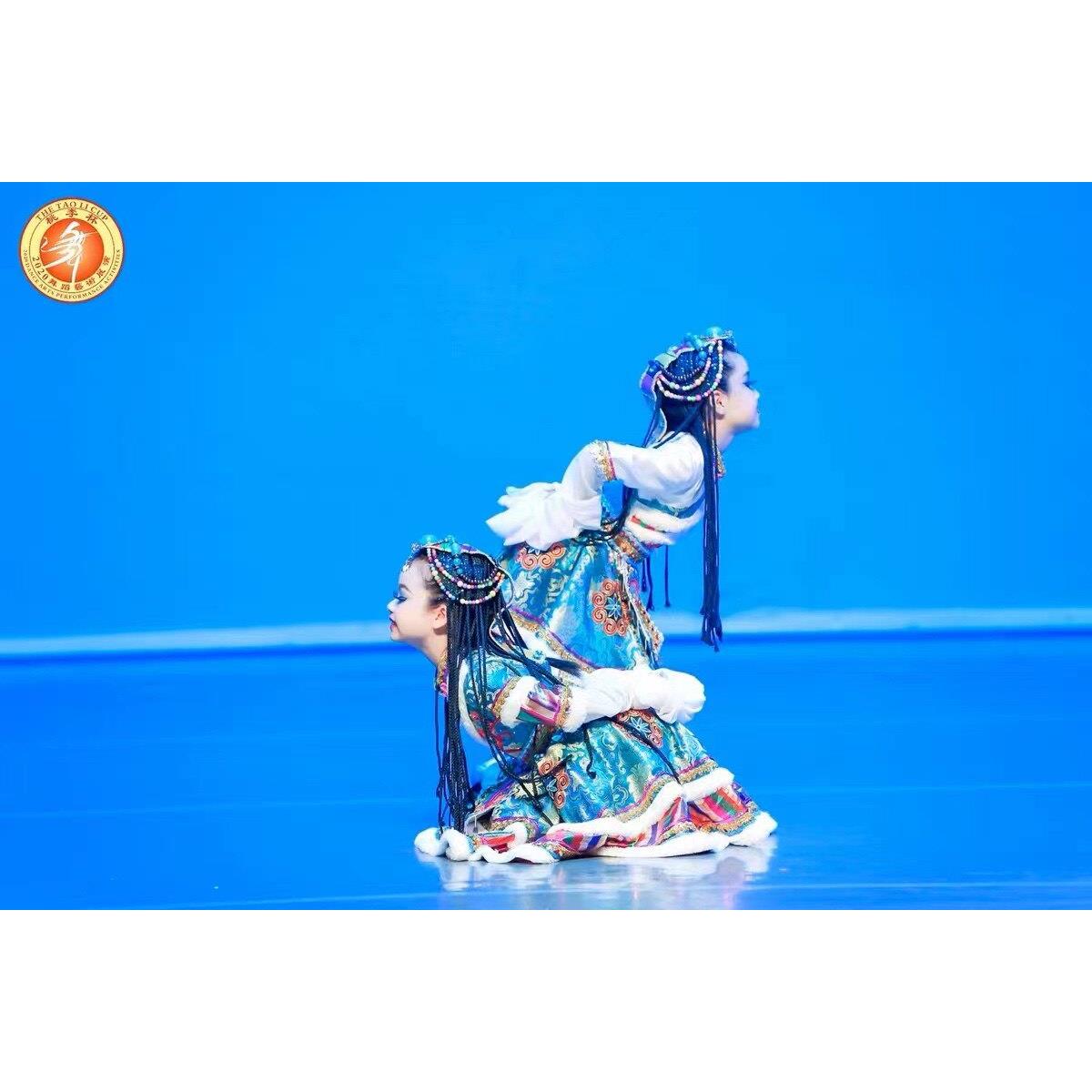 新款少数民族舞蹈服藏族舞蹈服蒙古族演出服水袖服装儿童