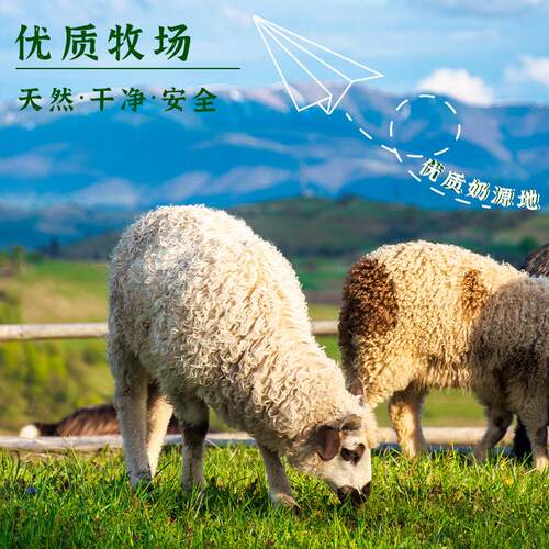 钙羊乳RGW粉运动养食品耐高力优质奶源配方新升级类营官方正品