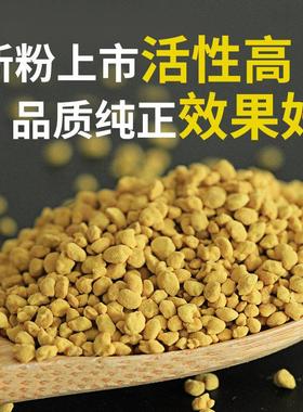 QTQ蜜乐青海油菜花粉纯正天然鲜菜花食用正粉品蜜蜂花干 干燥油粉
