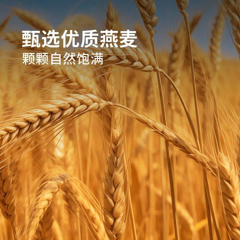 谷之优品小麦胚芽餐全粒燕早麦片纯营养冲泡饮料牛奶冲泡PSB燕麦,咖啡/麦片/冲饮,多谷物麦片,淘宝优惠券,粉丝福利购,淘宝优惠卷