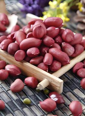 喂米好东北红衣花生YAG1斤原吉林松四粒花红生当季0新果