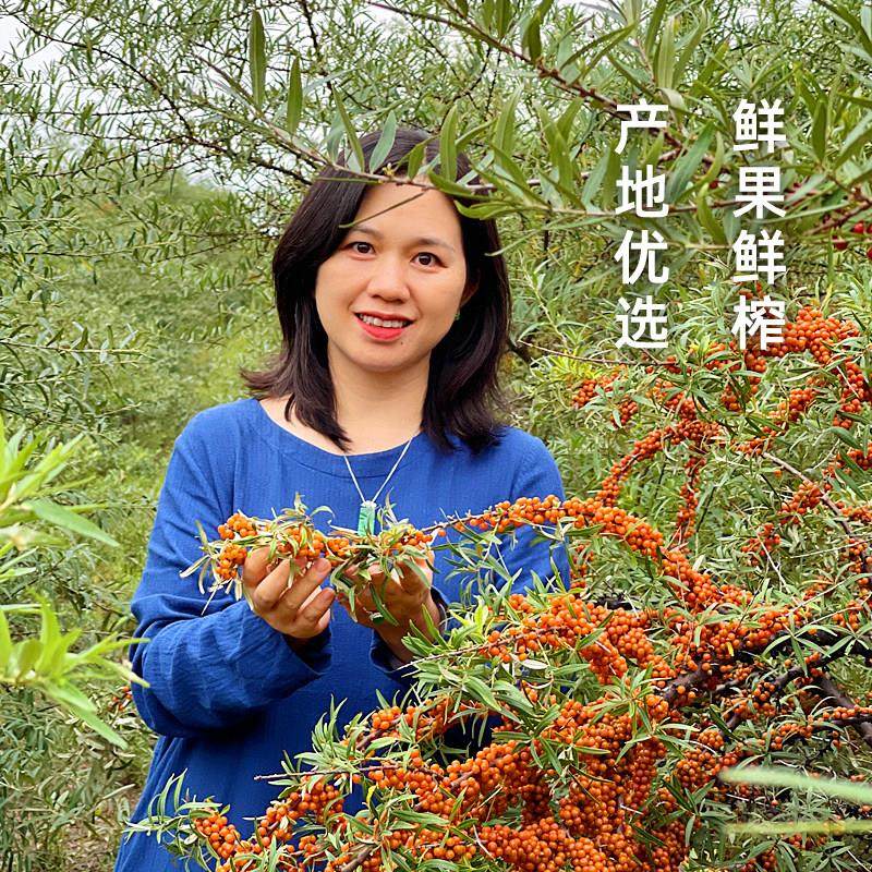 不一 的添加BSX沙籽油的有机沙棘原样棘浆1盒共30袋睡好变美,传统滋补营养品,沙棘/沙棘原浆,淘宝优惠券,粉丝福利购,淘宝优惠卷