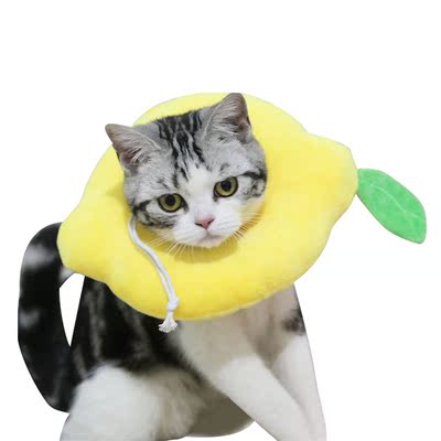 Protective Collar Adjustable Size For Cat Dog Neck