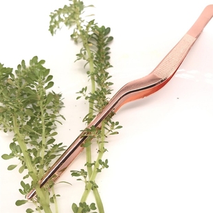 Seafood Tools Kitchen Wobble Plate Tweezers Tongs Profession