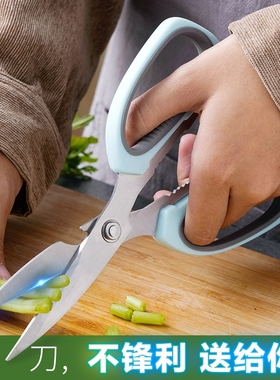Scissors in the kitchen cut multifunctionally with a strong