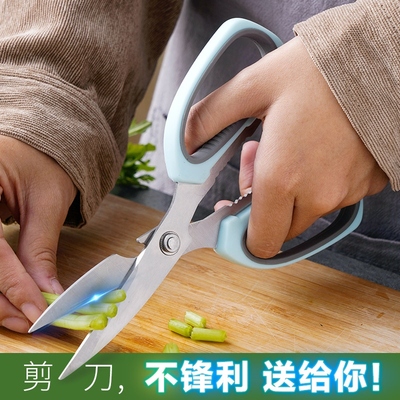 Scissors in the kitchen cut multifunctionally with a strong