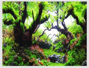 Fish Background Aquarium Tank Backdrop Landscape Decorative