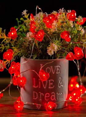 40leds Love Heart Wedding Led String Fairy Light Room Chris