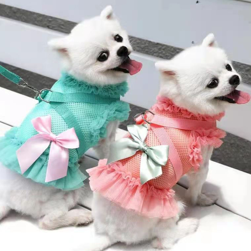 Cat Skirt Pet Supplies Puppy Dog Cat Clothes Harness Leash