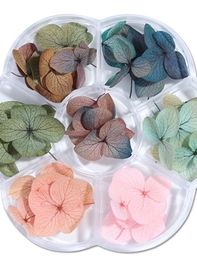 Dry Flower DIY Epoxy Resin Handmade Crafts Filling Materials