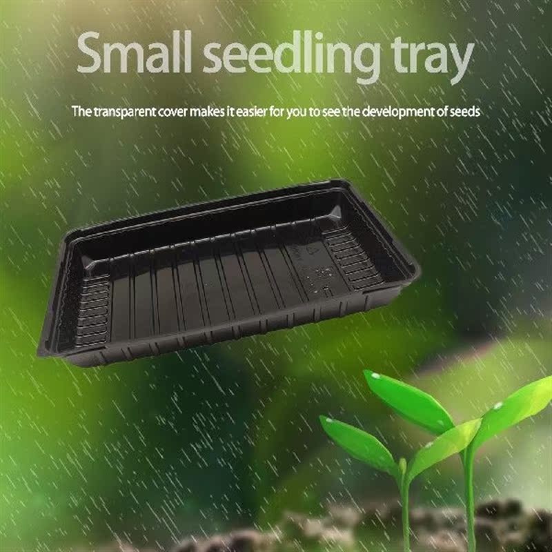 Plastic Seedling Tray Indoor Courtyard Garden Yard Miniature