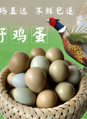 七彩山鸡蛋60枚农村杂粮散养野金鸡蛋笨鸡蛋秒发宝宝副食品 野鸡