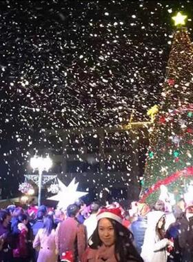 遥控1500W雪花机机造雪下雪喷机 舞台婚庆舞台GZSM2019 仿真场下