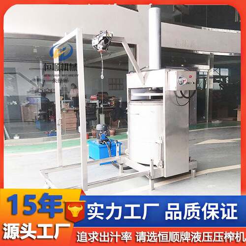 鲜榨地HS-100L黄中药汁大汁型压皮榨机 精酿葡萄渣脱水提机 取黄