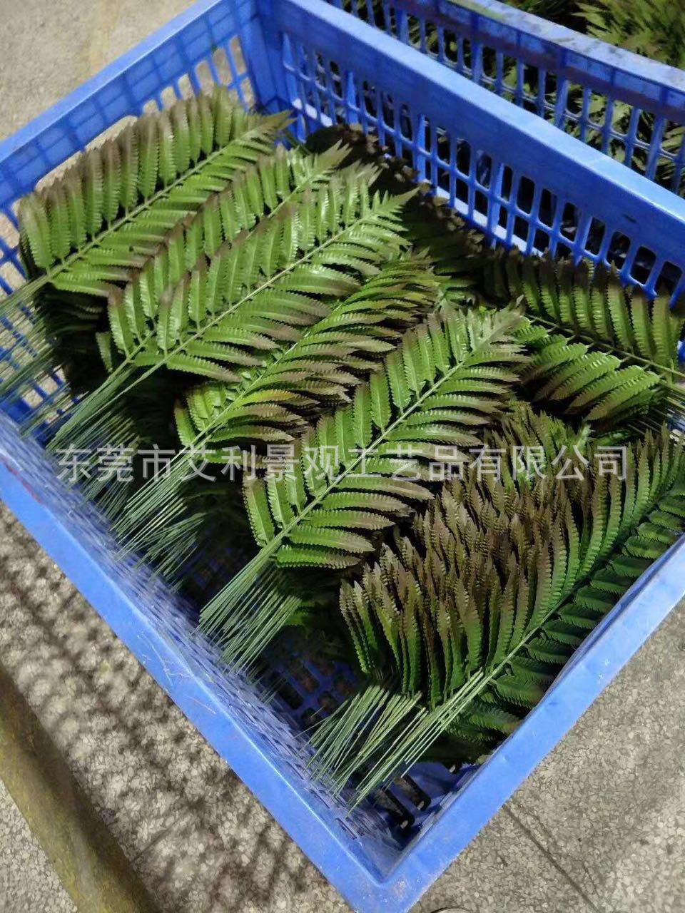 仿真娑罗树叶 人造花卉植物树叶材料 仿真假树叶景观树叶装饰叶