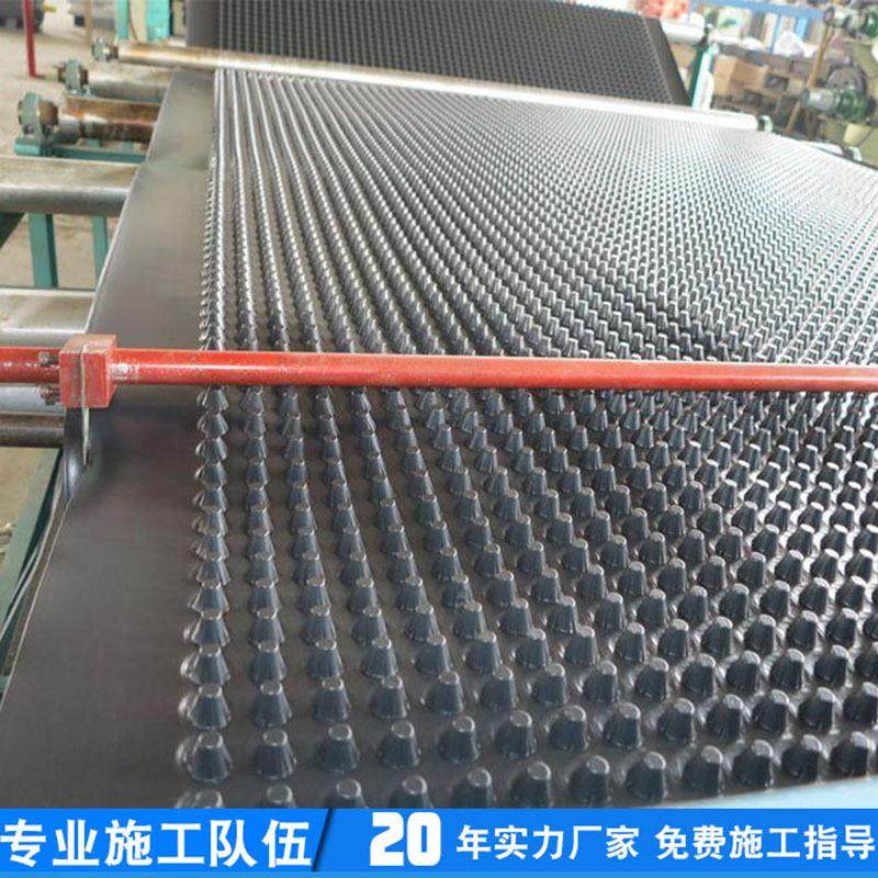 DH PE排高水板工程绿MUN化用60厚蓄排水板,农用物资,土壤透气管,淘宝优惠券,粉丝福利购,淘宝优惠卷