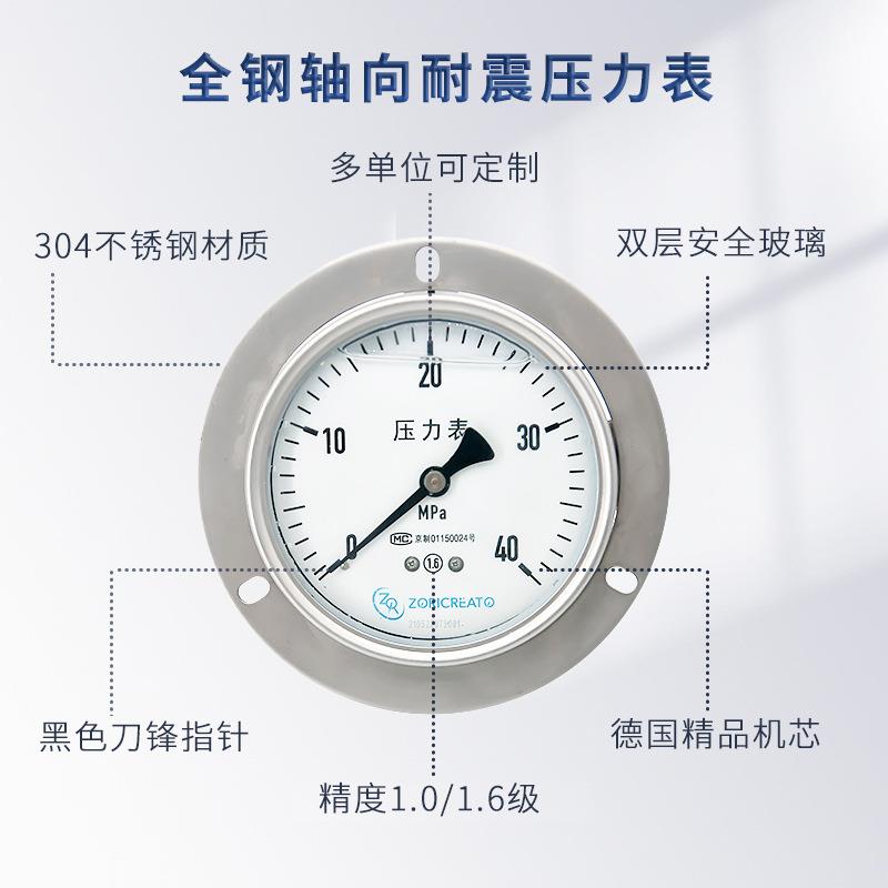 轴向带边耐震压力表187873 1YN0ZT/265/p4ma液压油压表水压表防震