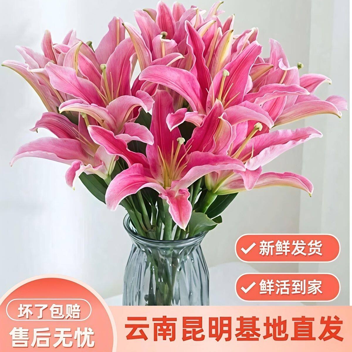 百合花云南昆明百合花康乃馨向日葵水养鲜花花束直发云南玫瑰桔梗