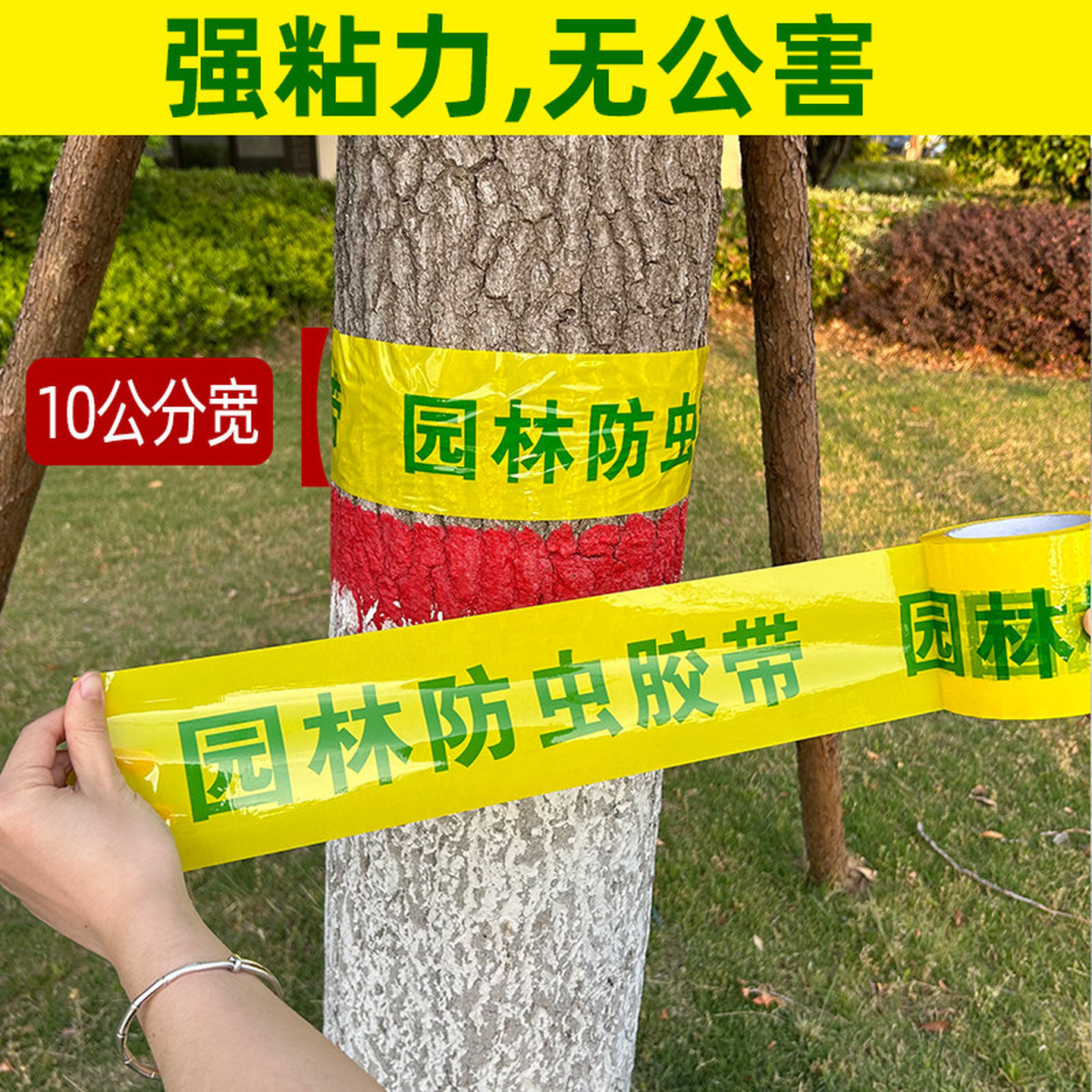 防虫胶带园林树木防虫胶带黏虫粘虫林业专用胶带市政大树果树黄胶