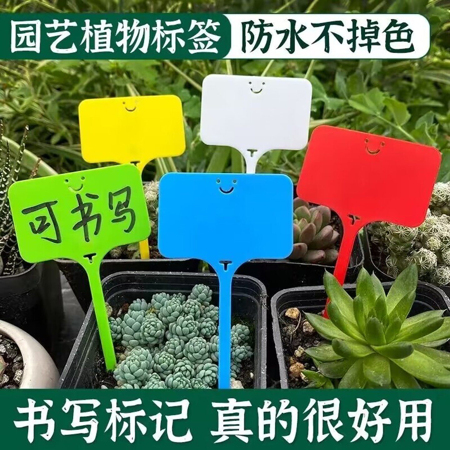 幼儿园植物标签盆栽花盆标识牌园艺大棚绿植果树防水加厚苗木标记